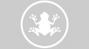 Frog Marketing
