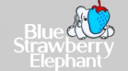 Blue Strawberry Elephant