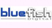 Bluefish Digital Services
