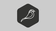 Silver Birch Creative